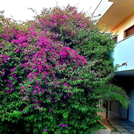 Quiet House Garden Naples-Pompei-Sorrento Villa Trecase Dış mekan fotoğraf